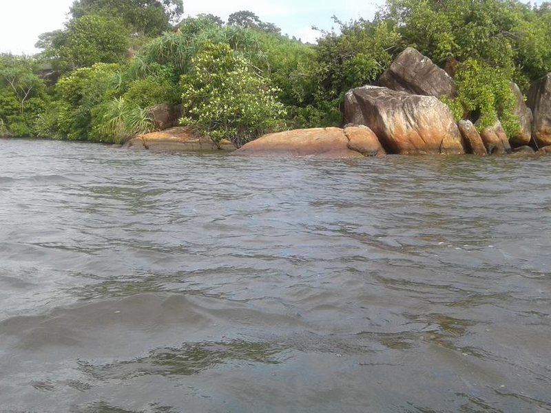 Cinnamon Lake Inn 193456