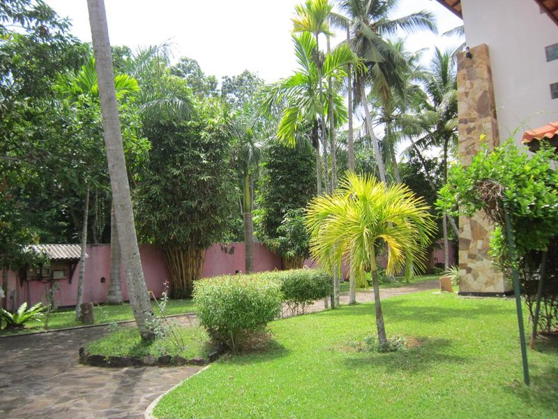 Cinnamon Lake Inn 193458