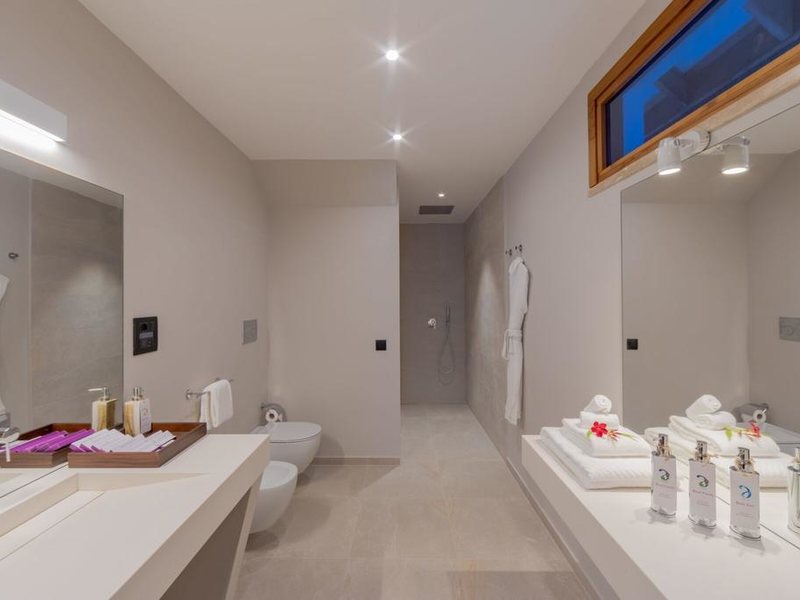 Cinnamon Velifushi Maldives  324680