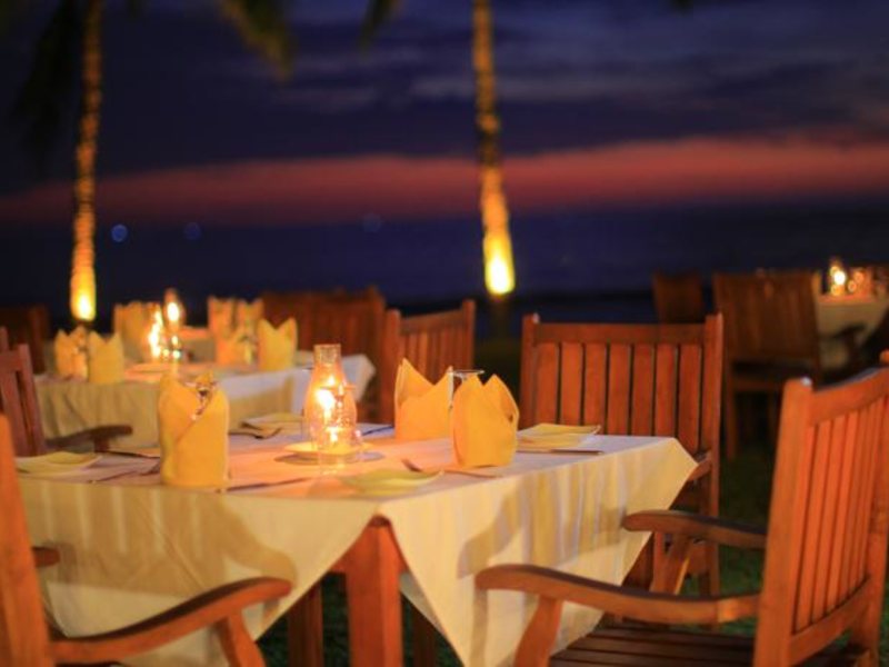 Citrus Hikkaduwa 116351