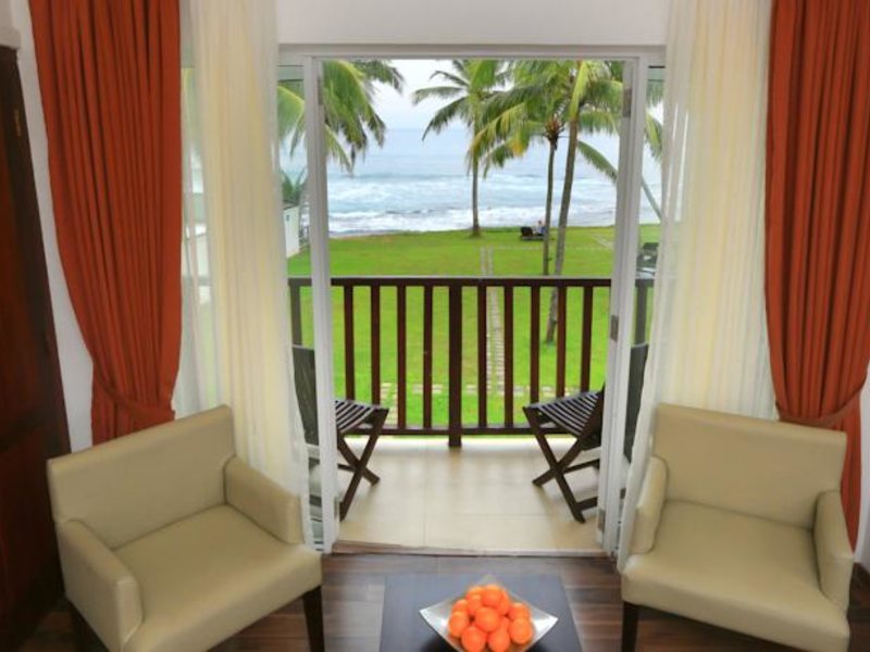 Citrus Hikkaduwa 116352