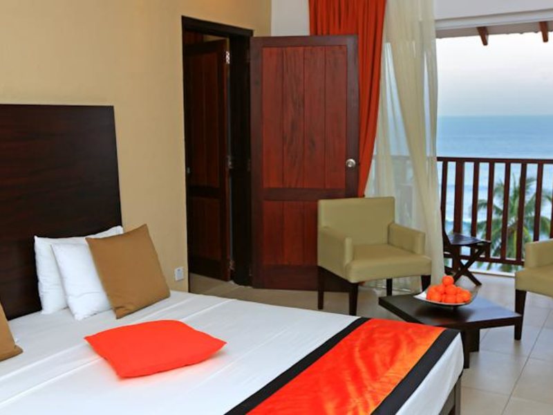 Citrus Hikkaduwa 116353