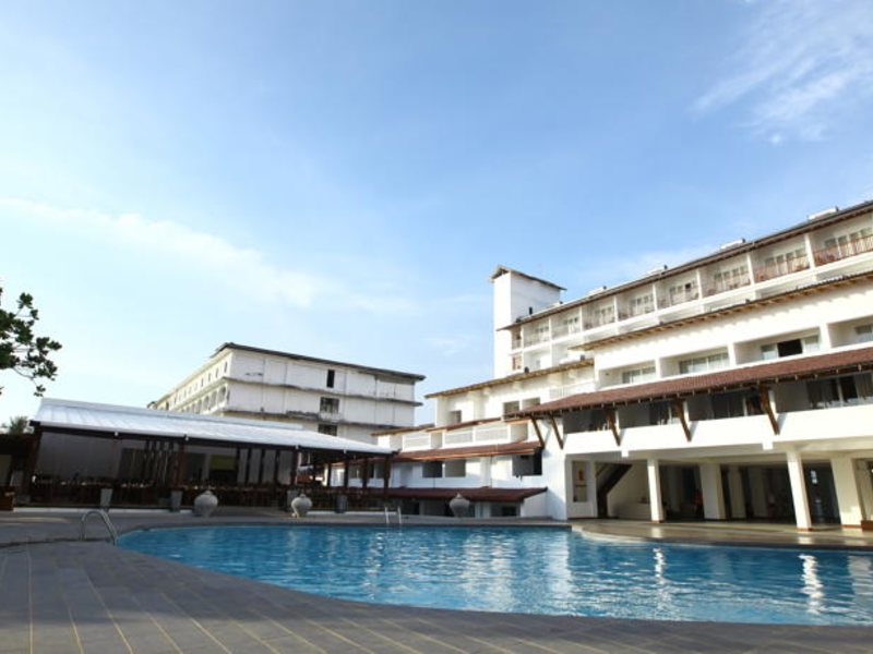 Citrus Hikkaduwa 116355