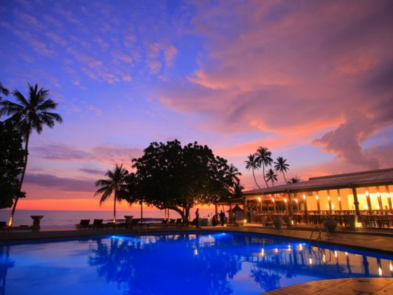 Citrus Hikkaduwa 116356