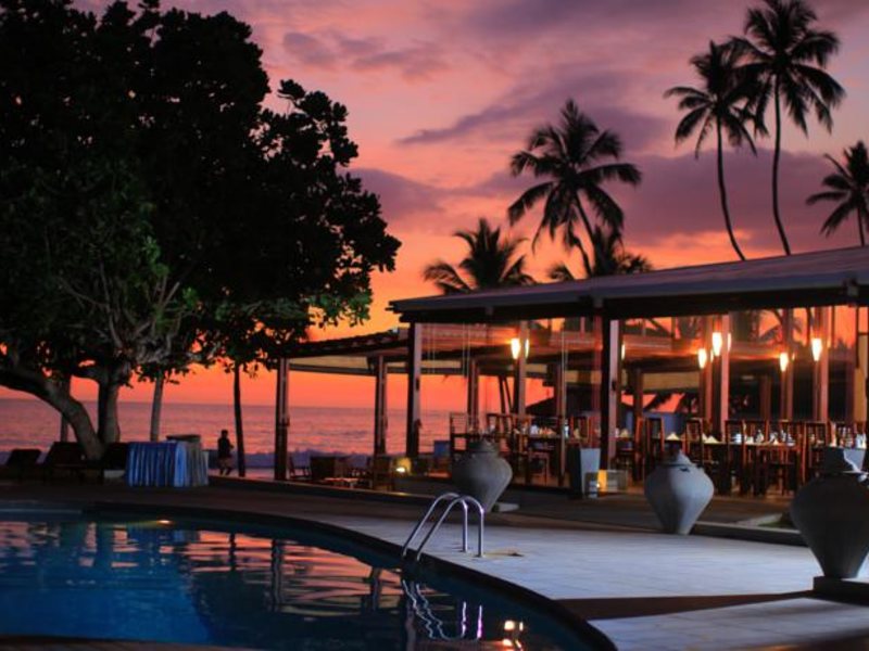 Citrus Hikkaduwa 116357