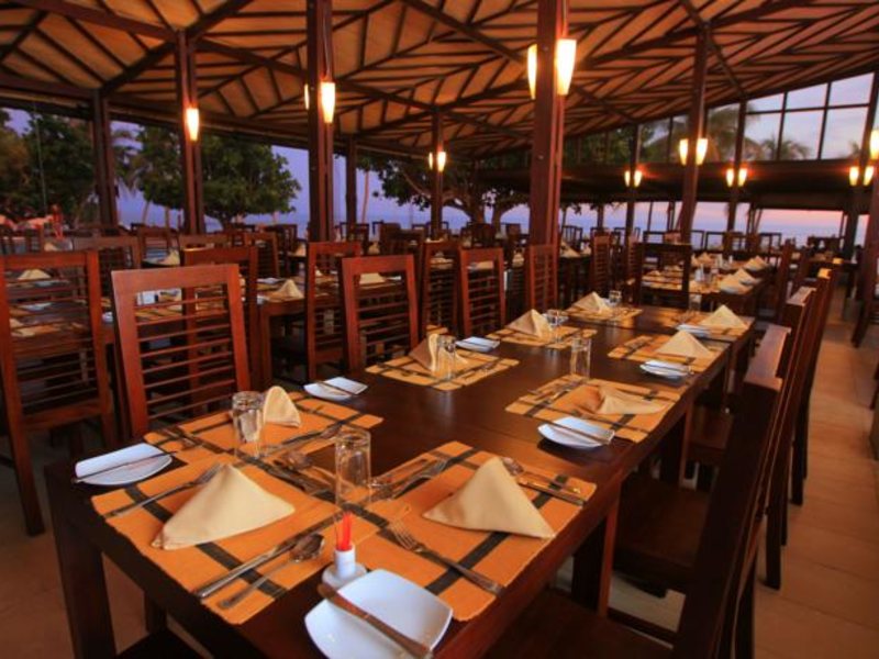 Citrus Hikkaduwa 116358