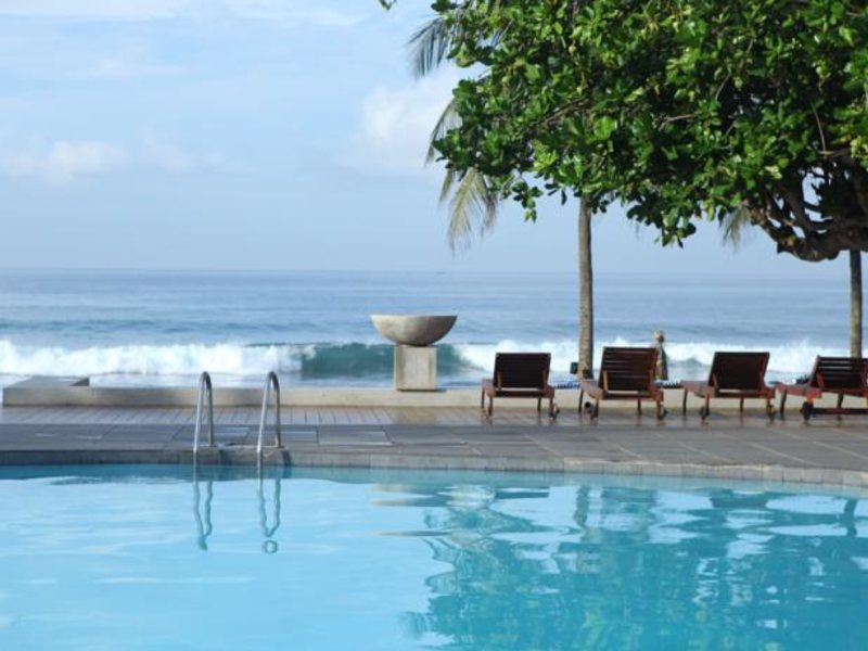 Citrus Hikkaduwa 116359