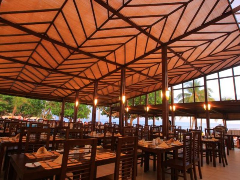 Citrus Hikkaduwa 116362