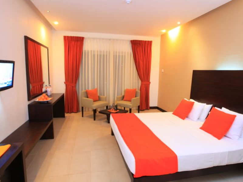 Citrus Hikkaduwa 116363