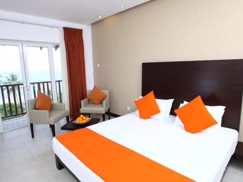 Citrus Hikkaduwa 116364