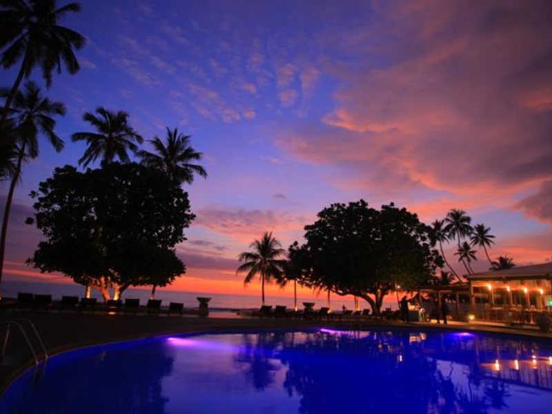 Citrus Hikkaduwa 116365