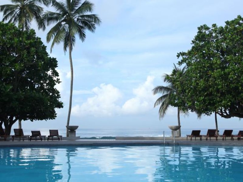 Citrus Hikkaduwa 116367