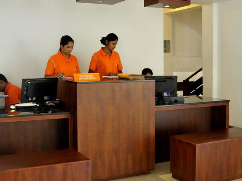 Citrus Hikkaduwa 116370