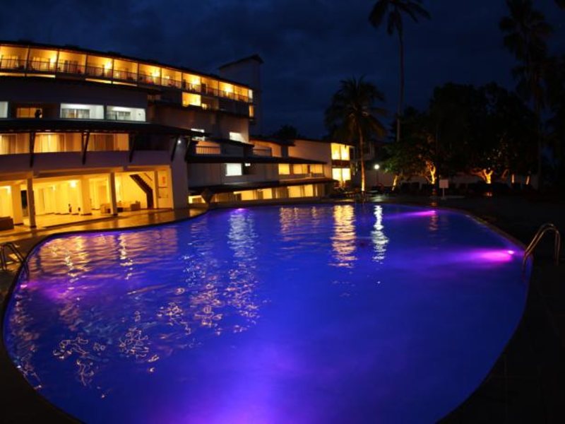 Citrus Hikkaduwa 116371