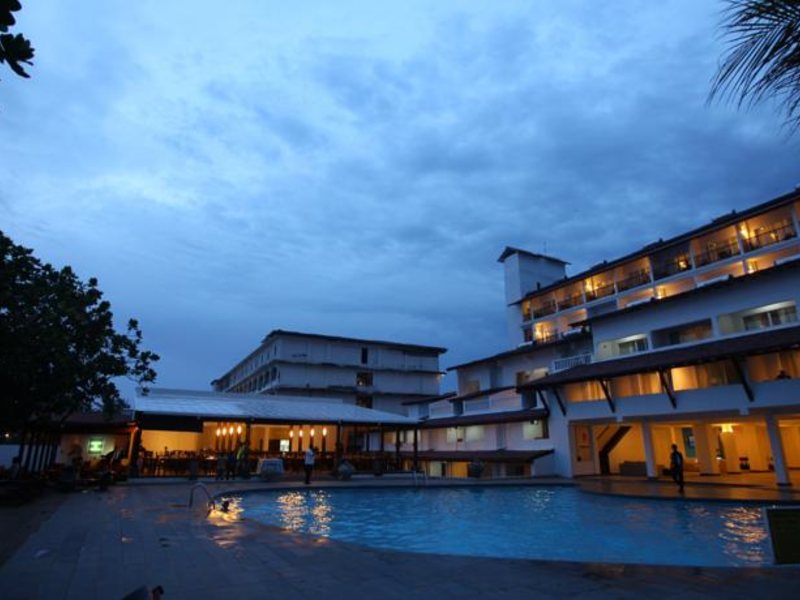 Citrus Hikkaduwa 116372