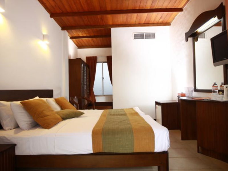 Citrus Hikkaduwa 116373