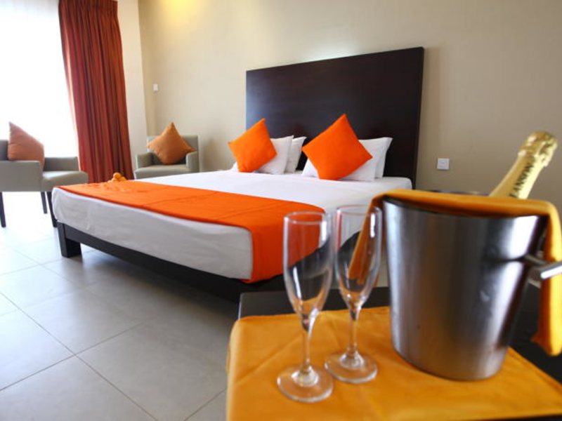 Citrus Hikkaduwa 116374