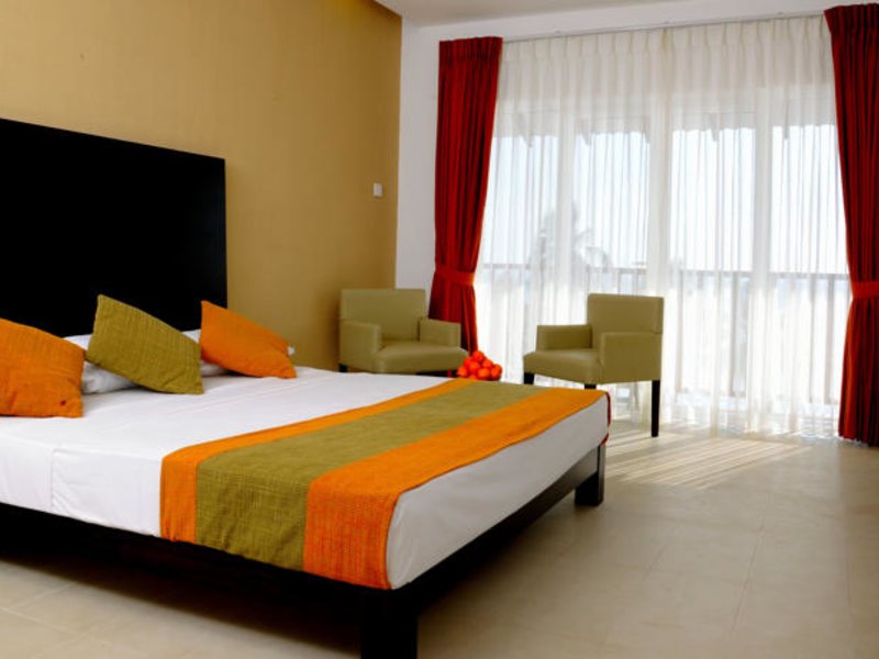 Citrus Hikkaduwa 116376