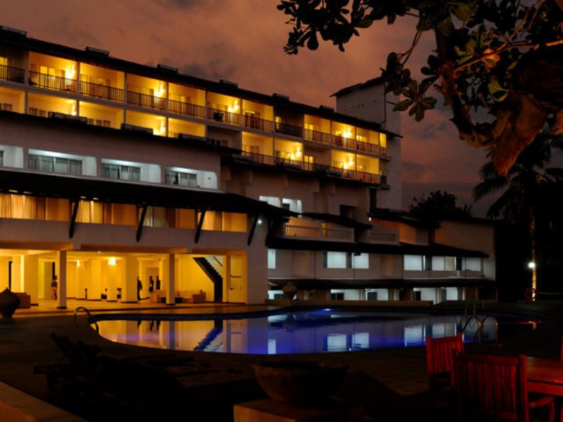 Citrus Hikkaduwa 116377