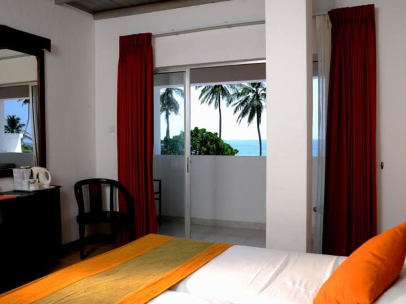 Citrus Hikkaduwa 116378