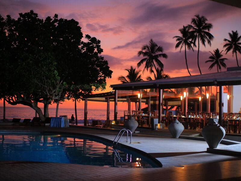 Citrus Hikkaduwa (ex 107078