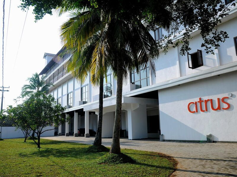 Citrus Hikkaduwa (ex 107093