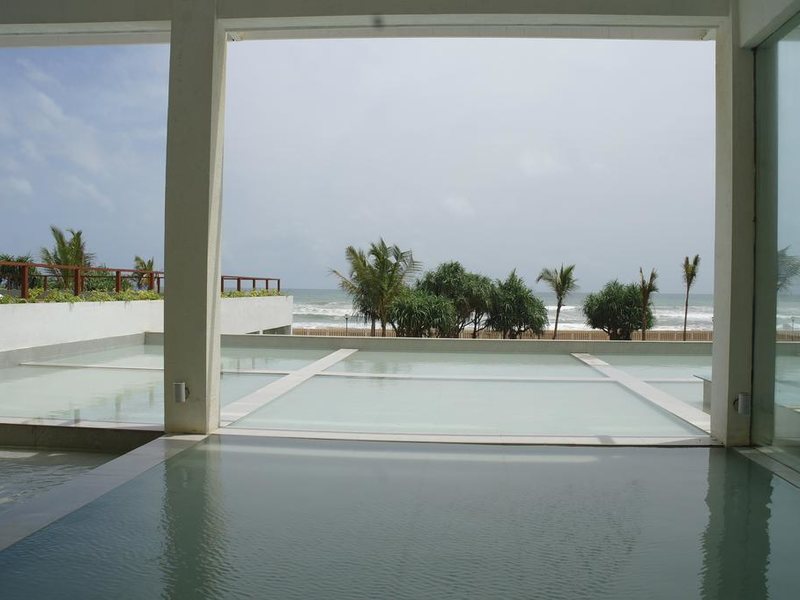 Citrus Waskaduwa 111247