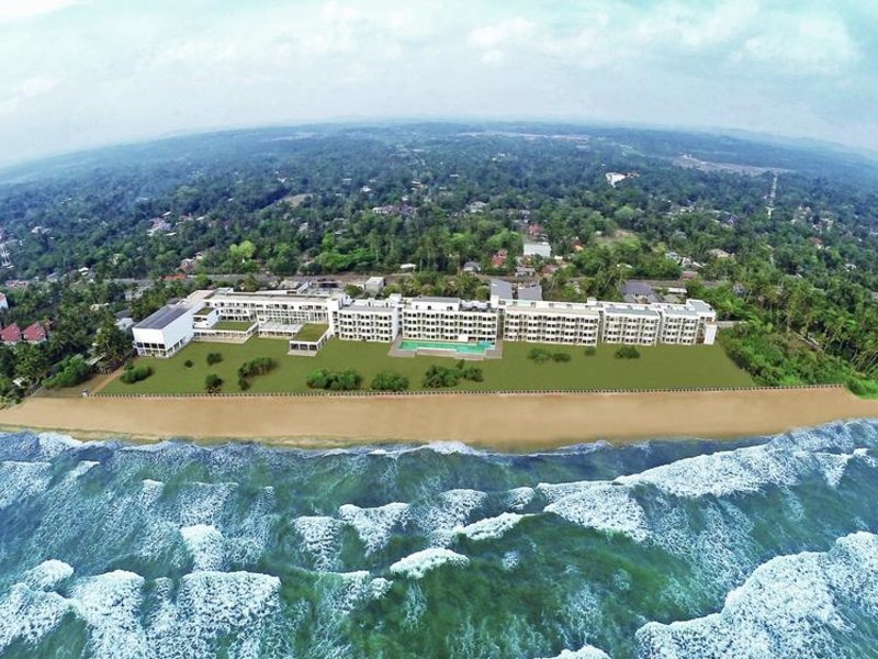 Citrus Waskaduwa 111264