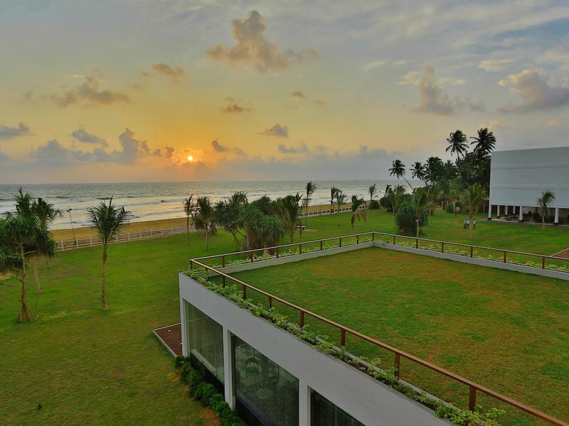 Citrus Waskaduwa 111268