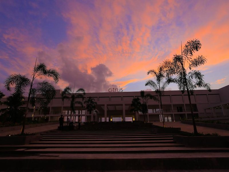 Citrus Waskaduwa 111269