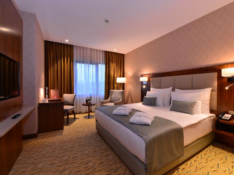 Clarion Hotel Istanbul Mahmutbey 241143