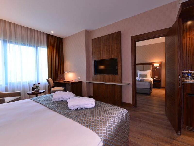 Clarion Hotel Istanbul Mahmutbey 241144
