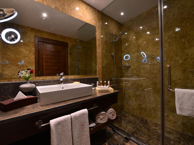 Clarion Hotel Istanbul Mahmutbey 241146