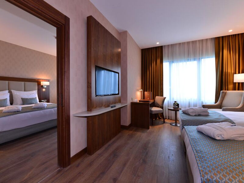 Clarion Hotel Istanbul Mahmutbey 241147