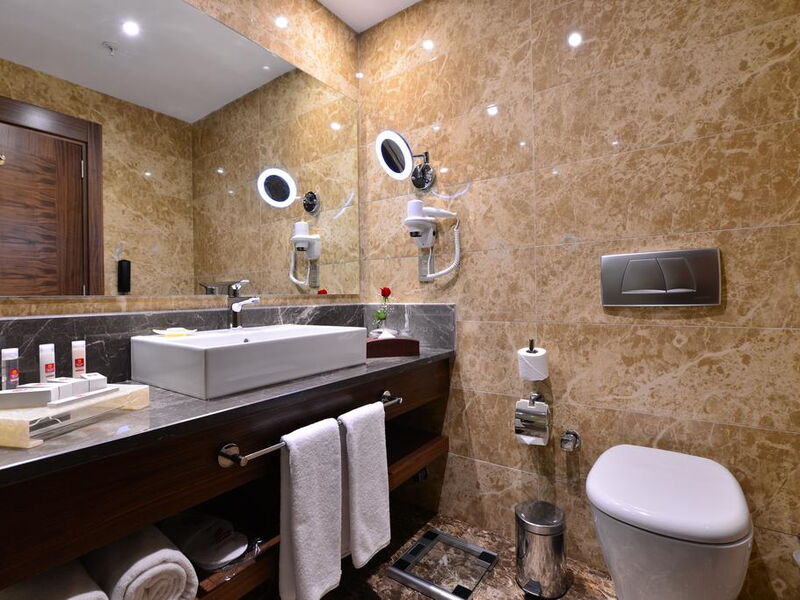Clarion Hotel Istanbul Mahmutbey 241148