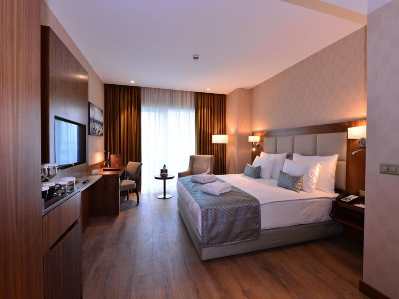 Clarion Hotel Istanbul Mahmutbey 241151