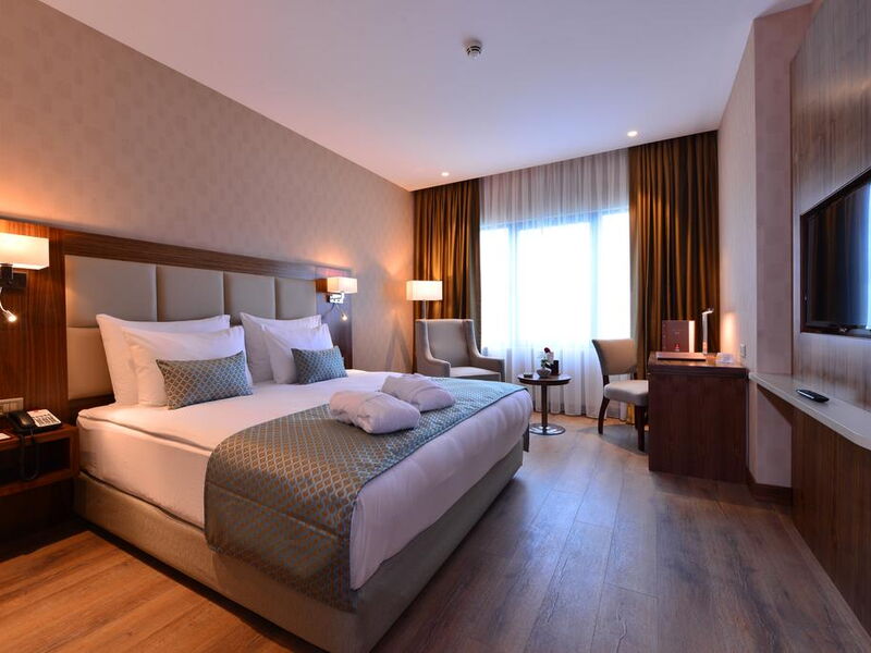 Clarion Hotel Istanbul Mahmutbey 241152