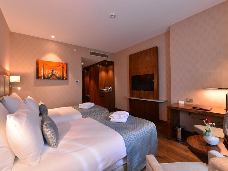 Clarion Hotel Istanbul Mahmutbey 241153