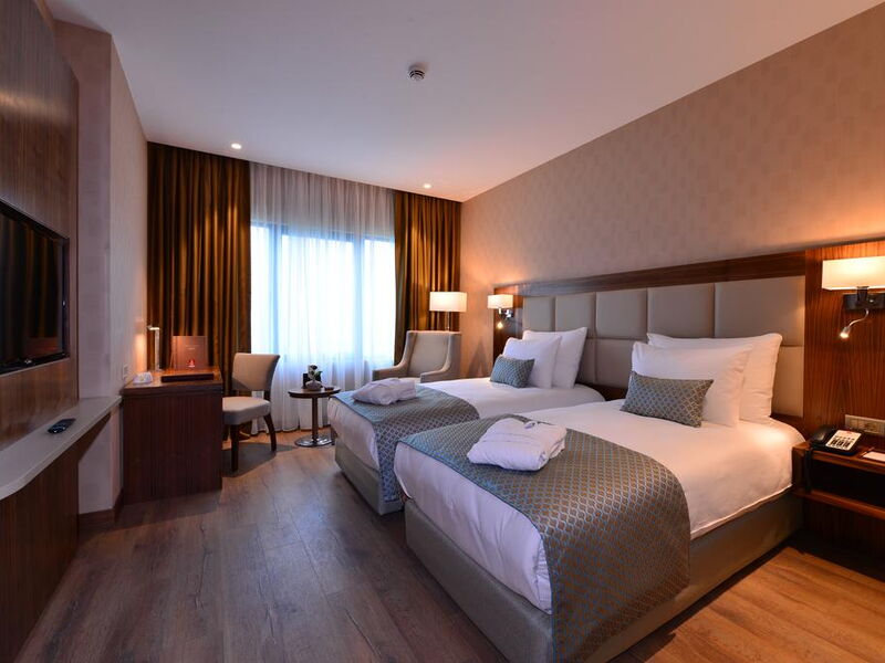 Clarion Hotel Istanbul Mahmutbey 241154