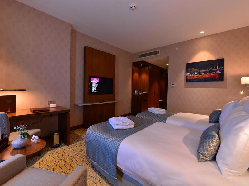 Clarion Hotel Istanbul Mahmutbey 241155