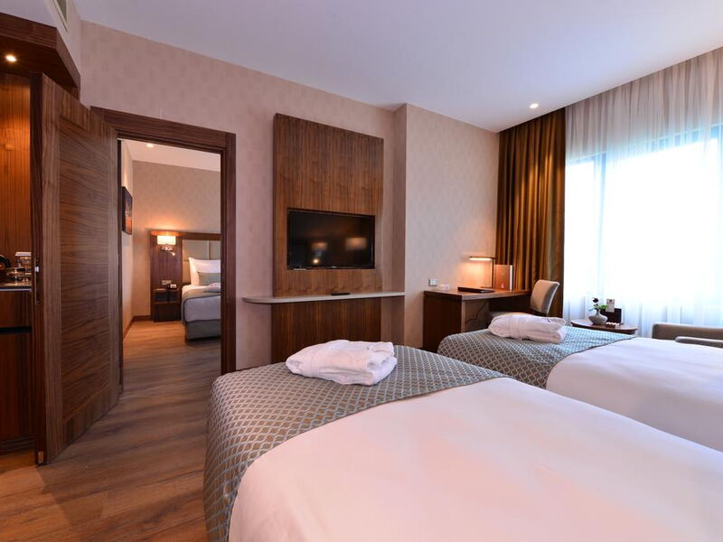 Clarion Hotel Istanbul Mahmutbey 241156