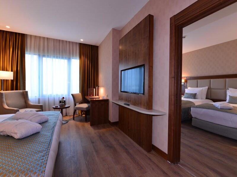 Clarion Hotel Istanbul Mahmutbey 241157