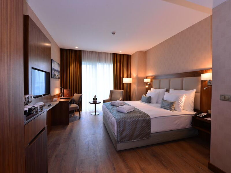 Clarion Hotel Istanbul Mahmutbey 241158