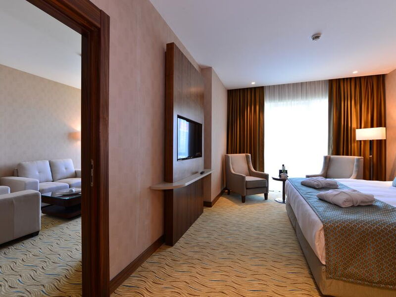 Clarion Hotel Istanbul Mahmutbey 241166
