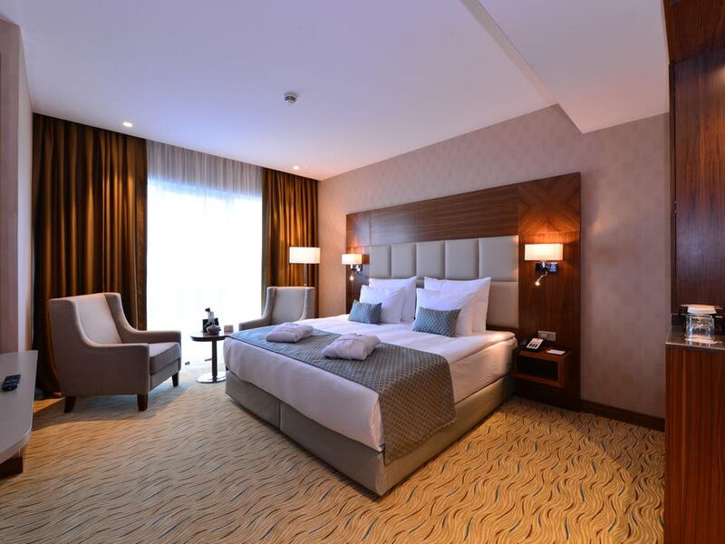 Clarion Hotel Istanbul Mahmutbey 241167