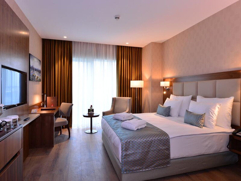 Clarion Hotel Istanbul Mahmutbey 241176