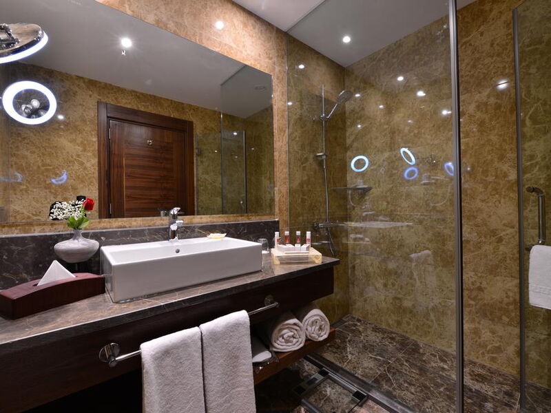 Clarion Hotel Istanbul Mahmutbey 241177