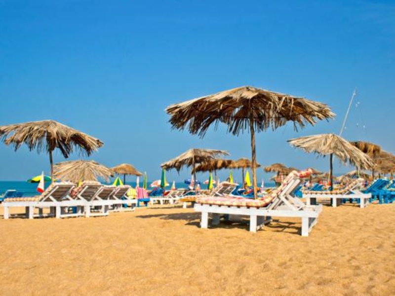 Classic De Evergreen 137472