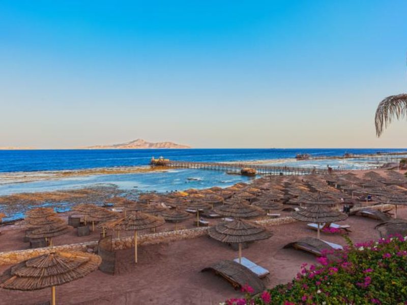 Cleopatra Luxury Resort Collection 122287