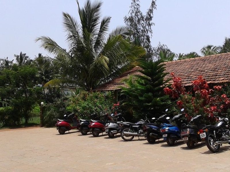 Clinton Guest House 207462